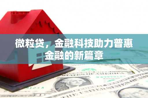颍上微粒贷，金融科技助力普惠金融的新篇章
