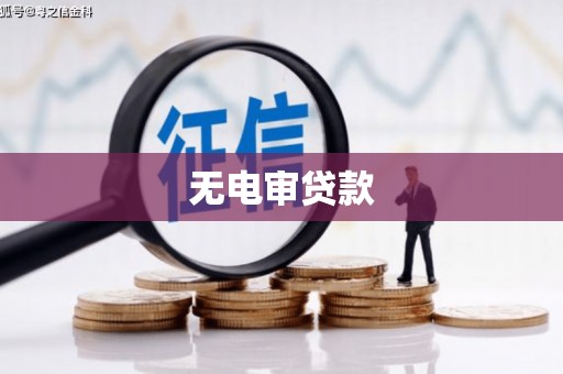 稻城无电审贷款