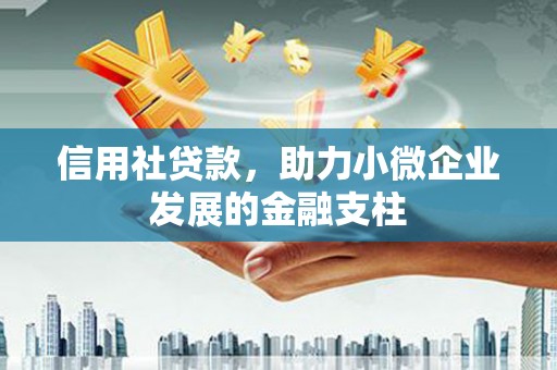 肥乡信用社贷款，助力小微企业发展的金融支柱