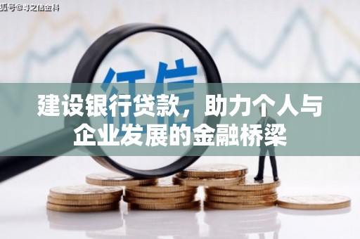 玉树建设银行贷款，助力个人与企业发展的金融桥梁