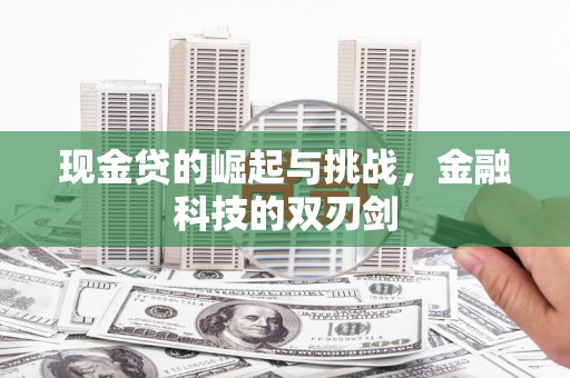 丰原现金贷的崛起与挑战，金融科技的双刃剑