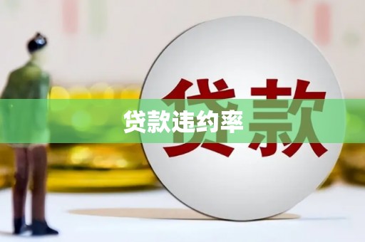 水上贷款违约率