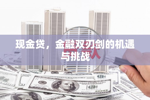 长安现金贷，金融双刃剑的机遇与挑战