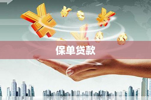 涵江保单贷款