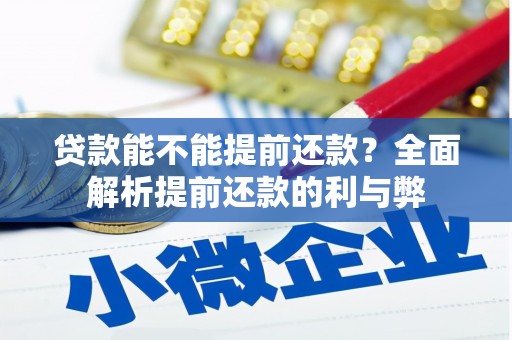 保定贷款能不能提前还款？全面解析提前还款的利与弊