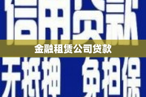 美浓金融租赁公司贷款