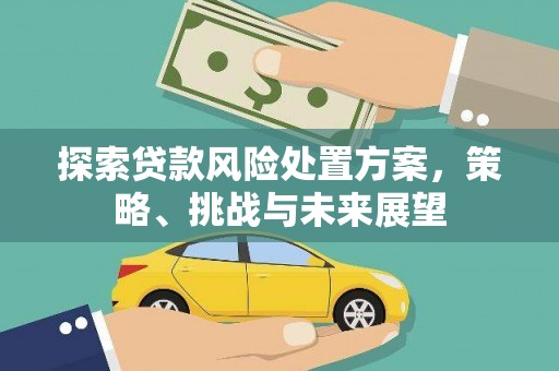 遂昌探索贷款风险处置方案，策略、挑战与未来展望