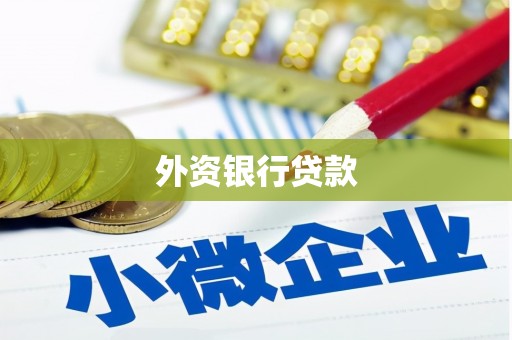 洛阳外资银行贷款