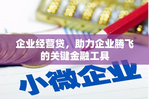 临湘企业经营贷，助力企业腾飞的关键金融工具