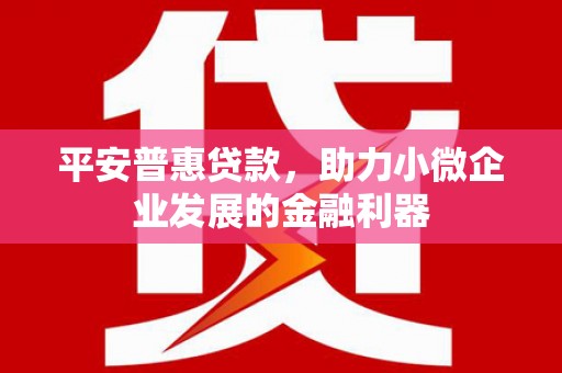 二水平安普惠贷款，助力小微企业发展的金融利器