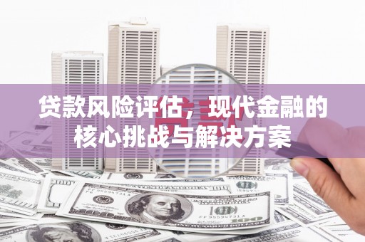 西海岸贷款风险评估，现代金融的核心挑战与解决方案