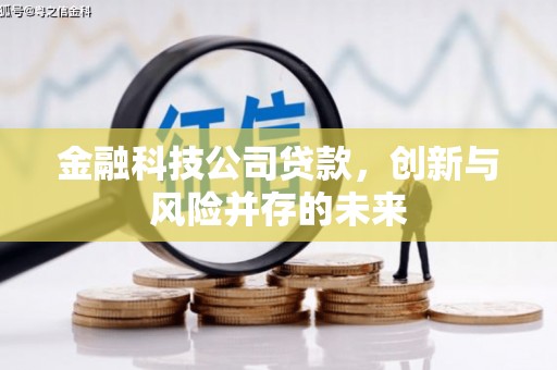 岑巩金融科技公司贷款，创新与风险并存的未来