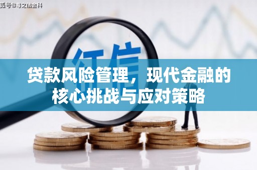 大丰贷款风险管理，现代金融的核心挑战与应对策略
