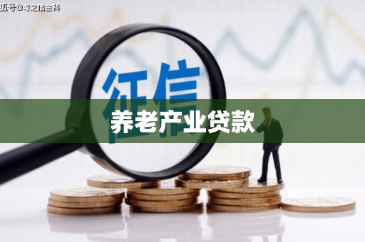 南安养老产业贷款