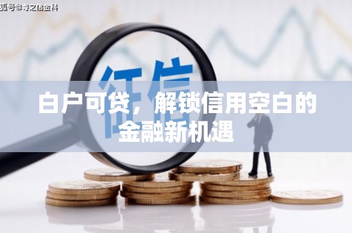 崇明白户可贷，解锁信用空白的金融新机遇