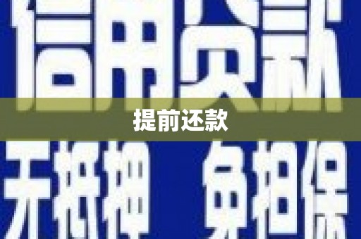 白山提前还款