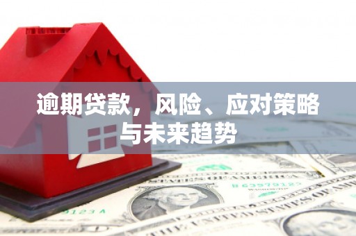 章丘逾期贷款，风险、应对策略与未来趋势
