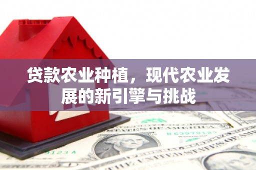 南宁贷款农业种植，现代农业发展的新引擎与挑战