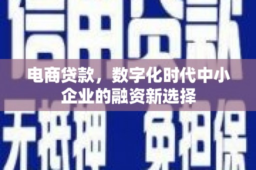 德钦电商贷款，数字化时代中小企业的融资新选择