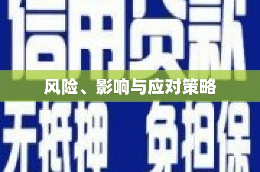 南康风险、影响与应对策略