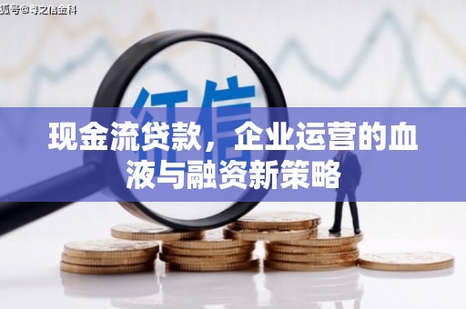 靖西现金流贷款，企业运营的血液与融资新策略