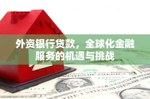 临西外资银行贷款，全球化金融服务的机遇与挑战