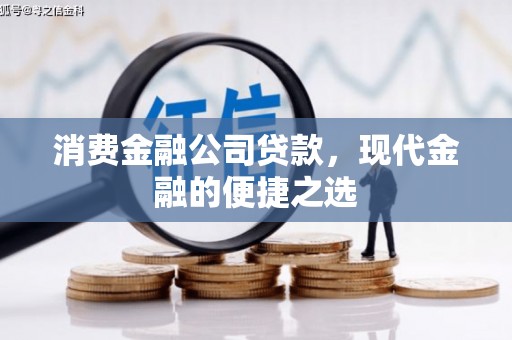 天峨消费金融公司贷款，现代金融的便捷之选