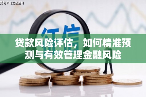 卓尼贷款风险评估，如何精准预测与有效管理金融风险