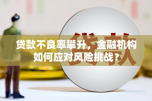 乌来贷款不良率攀升，金融机构如何应对风险挑战？