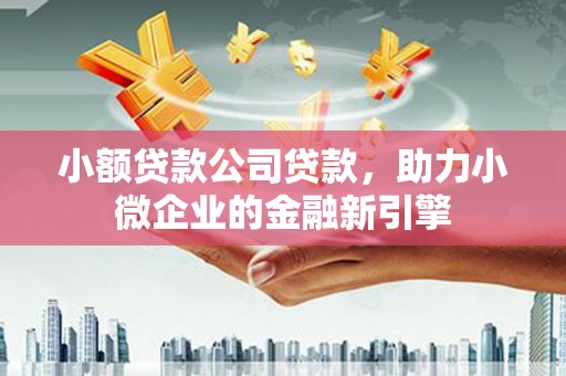 班戈小额贷款公司贷款，助力小微企业的金融新引擎