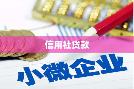 桑日信用社贷款