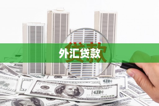 合川外汇贷款