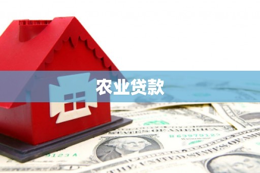 邓州农业贷款