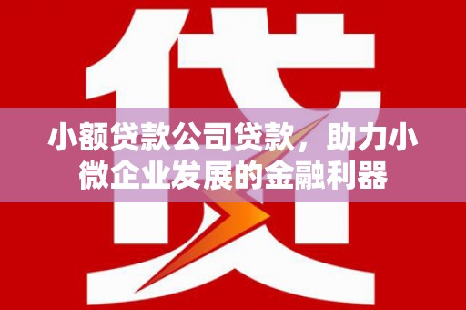洛阳小额贷款公司贷款，助力小微企业发展的金融利器