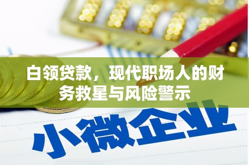湖北白领贷款，现代职场人的财务救星与风险警示