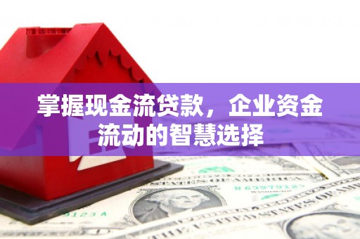 凤凰掌握现金流贷款，企业资金流动的智慧选择