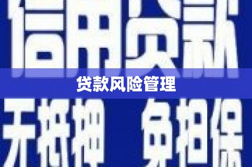 城厢贷款风险管理