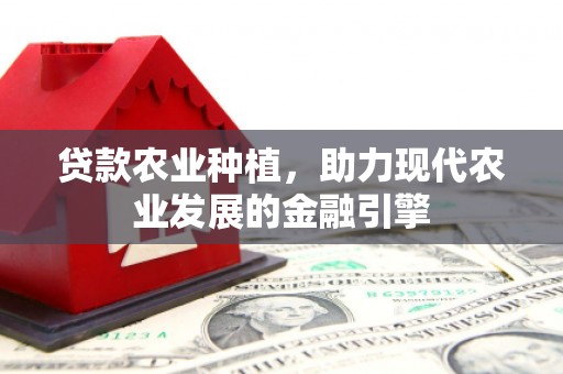 三民贷款农业种植，助力现代农业发展的金融引擎