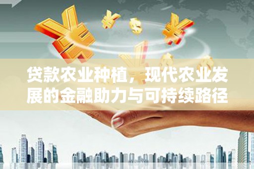 沙坡头贷款农业种植，现代农业发展的金融助力与可持续路径