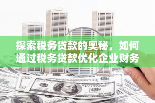 天山探索税务贷款的奥秘，如何通过税务贷款优化企业财务