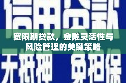 里港宽限期贷款，金融灵活性与风险管理的关键策略