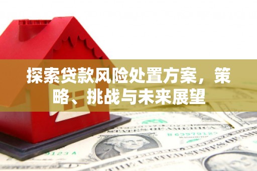 永泰探索贷款风险处置方案，策略、挑战与未来展望