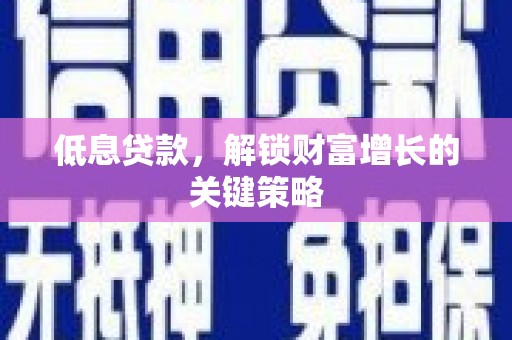 绥滨低息贷款，解锁财富增长的关键策略
