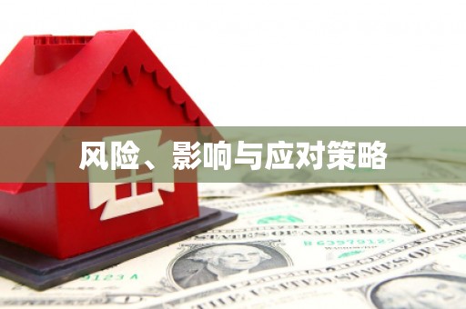 阜城风险、影响与应对策略