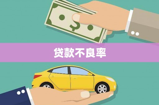 房山贷款不良率