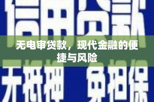 瑞金无电审贷款，现代金融的便捷与风险