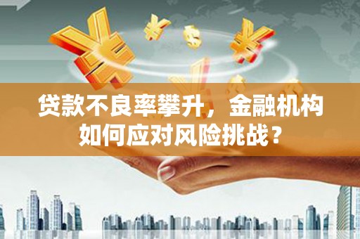 永寿贷款不良率攀升，金融机构如何应对风险挑战？