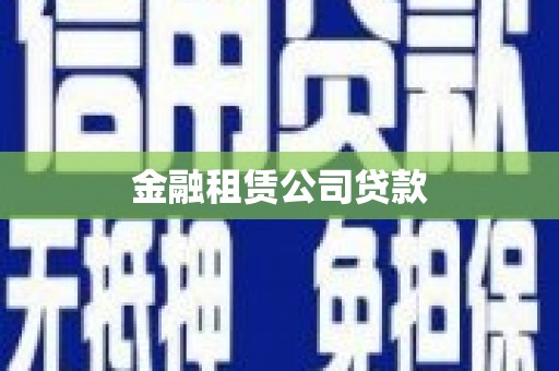 寿丰金融租赁公司贷款