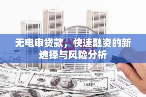 桃山无电审贷款，快速融资的新选择与风险分析