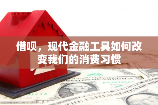安岳借呗，现代金融工具如何改变我们的消费习惯